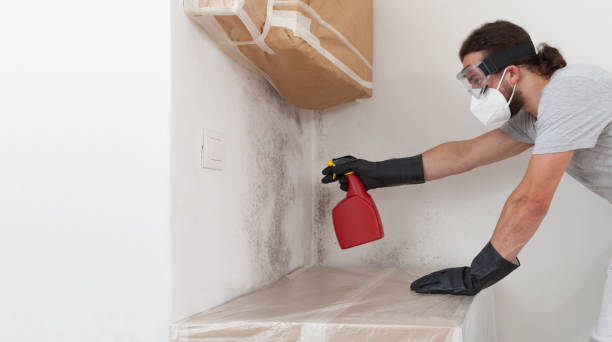 Attic Mold Remediation treatment on roof deck in Bloomington